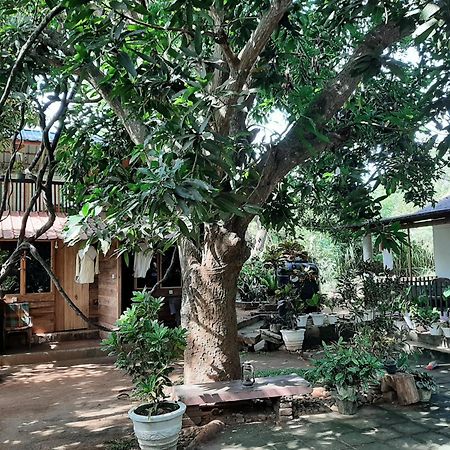 Serenity House In Dambulla Exterior photo