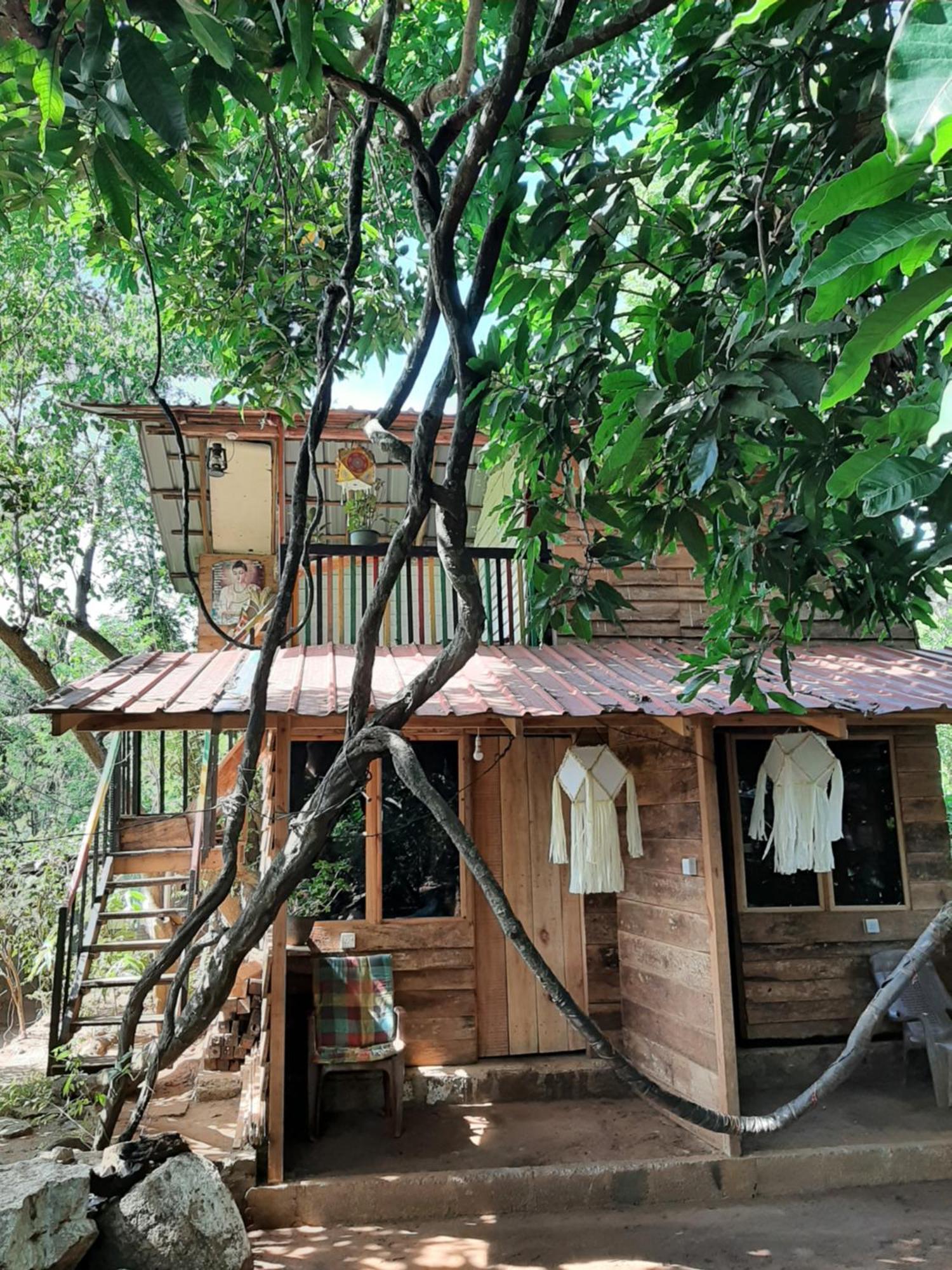 Serenity House In Dambulla Exterior photo