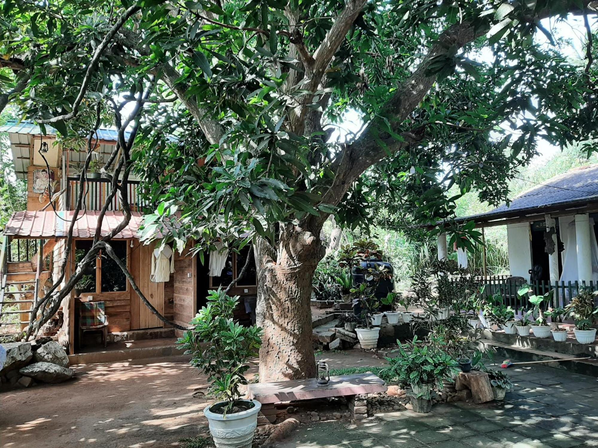 Serenity House In Dambulla Exterior photo